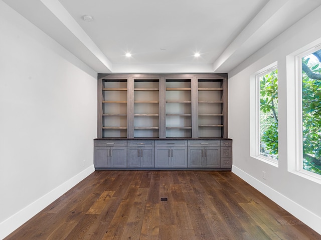 interior space with dark hardwood / wood-style flooring, plenty of natural light, and built in features