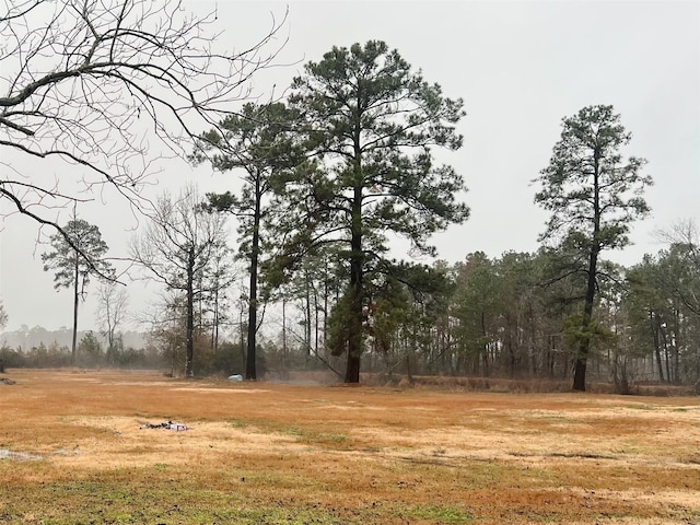 view of landscape