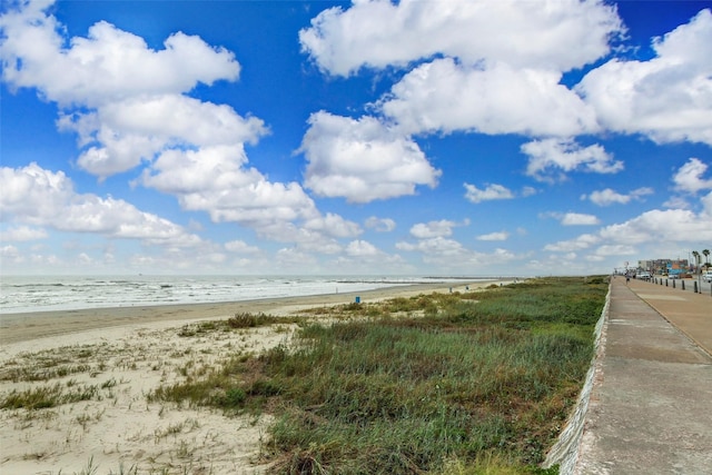 view of water feature featuring a beach view