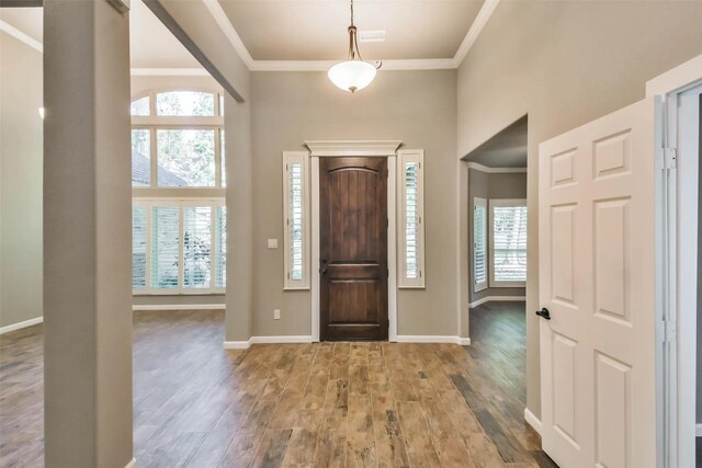 entryway with crown molding and wood-type flooring