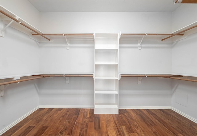 spacious closet featuring dark hardwood / wood-style flooring