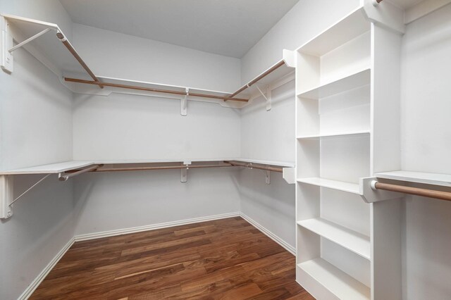 spacious closet featuring dark wood-type flooring