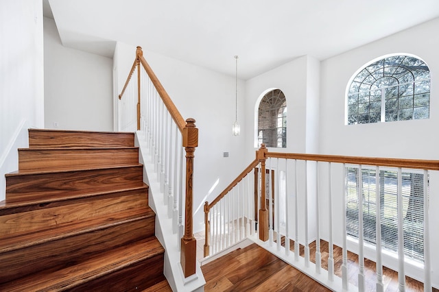 stairs with hardwood / wood-style floors and a healthy amount of sunlight