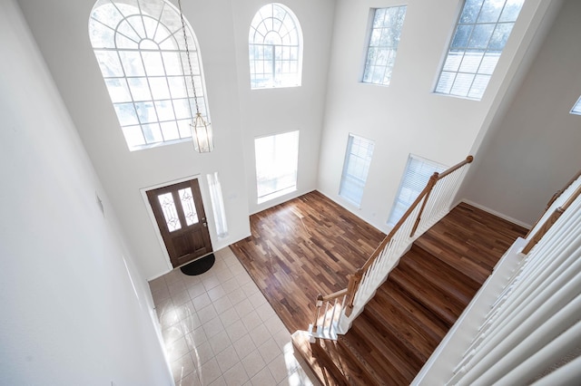 entrance foyer with a high ceiling, hardwood / wood-style floors, and a wealth of natural light