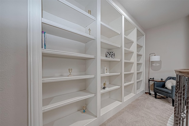 interior space with carpet flooring