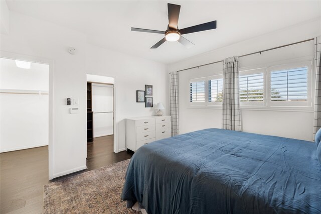 bedroom with a spacious closet, dark hardwood / wood-style floors, and ceiling fan