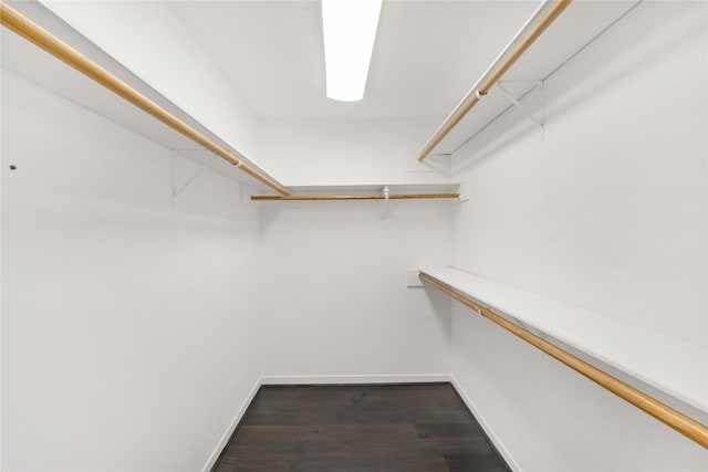 spacious closet with dark wood-type flooring