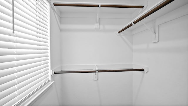 214 Fulton Station Dr, Houston, TX 77009 - view of walk in closet