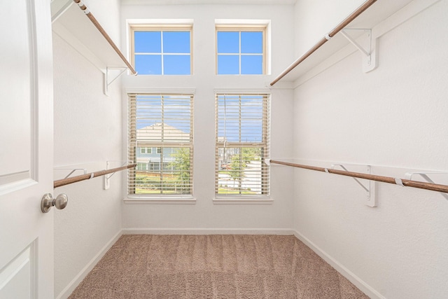 spacious closet with carpet