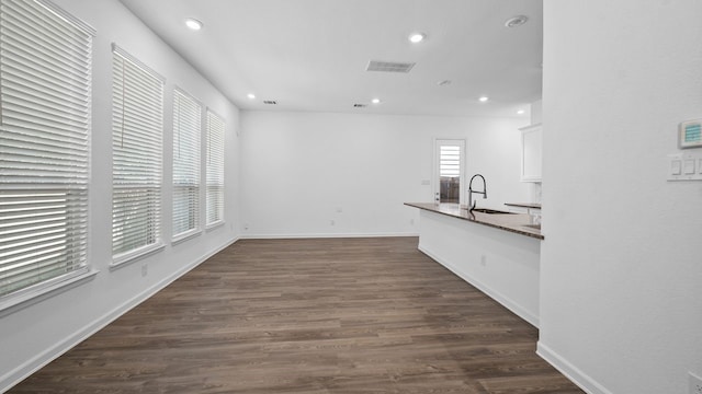 interior space featuring sink and dark wood-type flooring