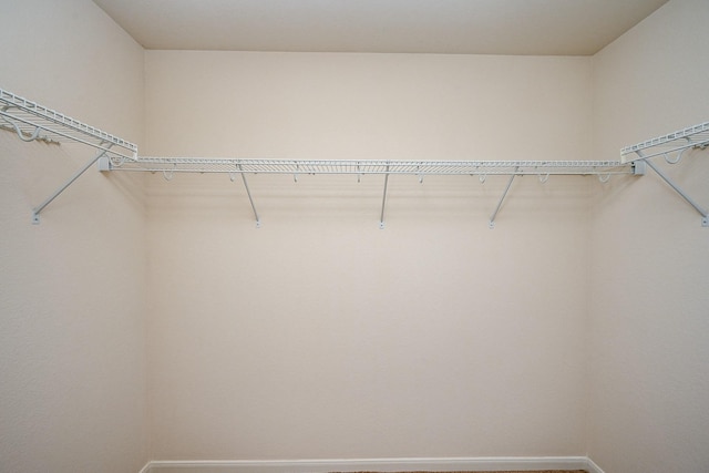 view of walk in closet