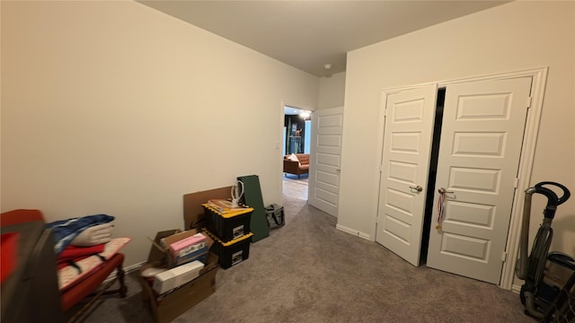 misc room with carpet flooring