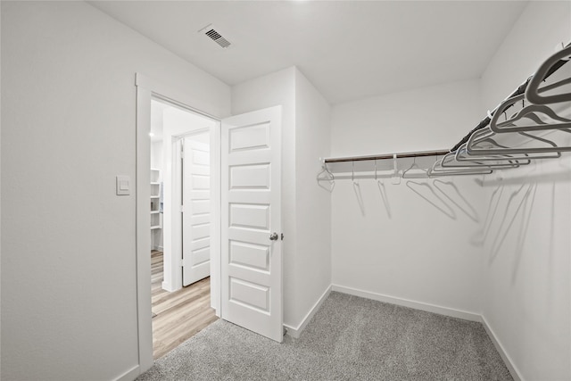 walk in closet featuring carpet floors