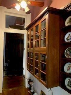 wine room with ceiling fan