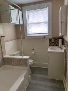 bathroom featuring vanity, toilet, and wood-type flooring