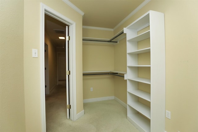 spacious closet with light carpet