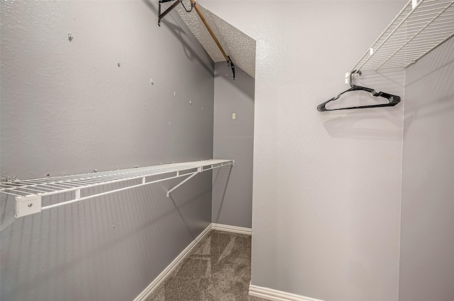 spacious closet with carpet floors