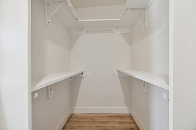 walk in closet featuring wood-type flooring