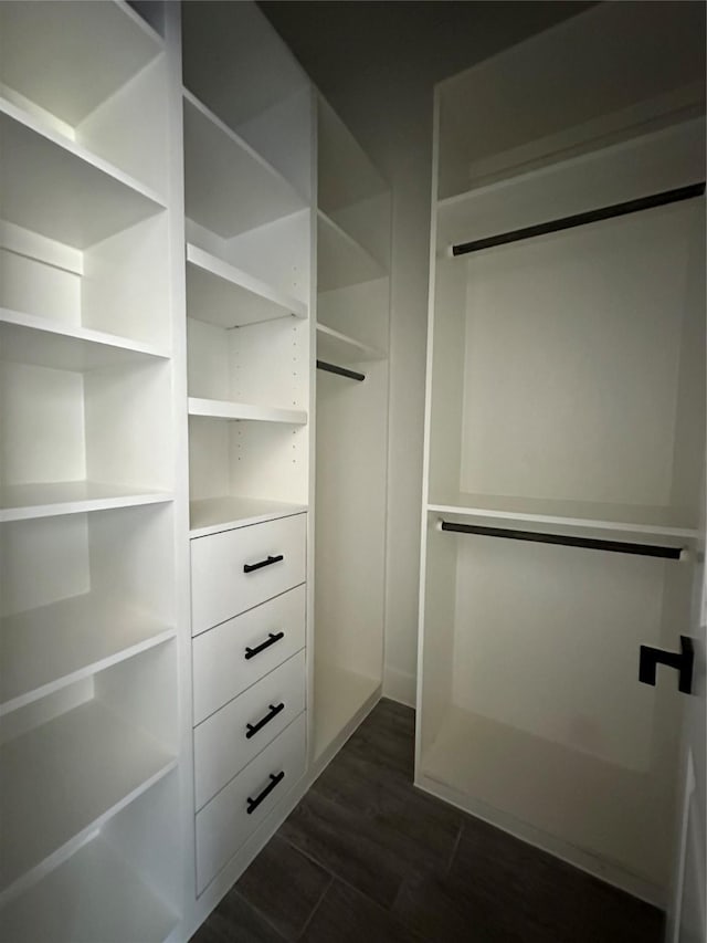 1037 Rd 6609, Dayton, TX 77535 - walk in closet with dark wood-style floors