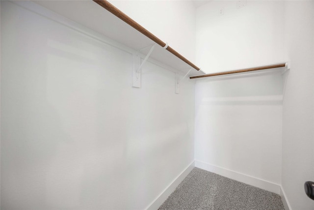 walk in closet featuring carpet floors