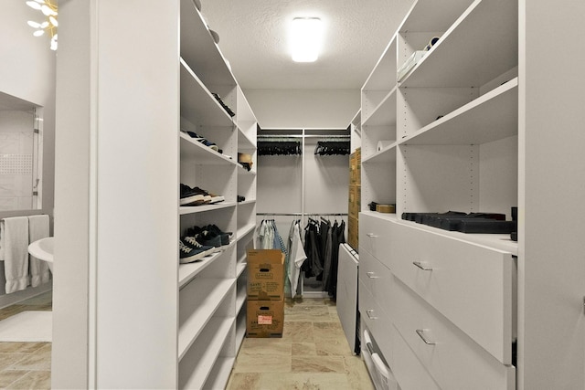 view of spacious closet