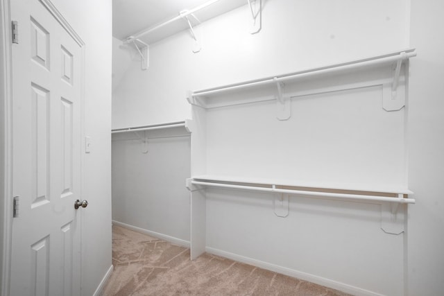 walk in closet with light colored carpet