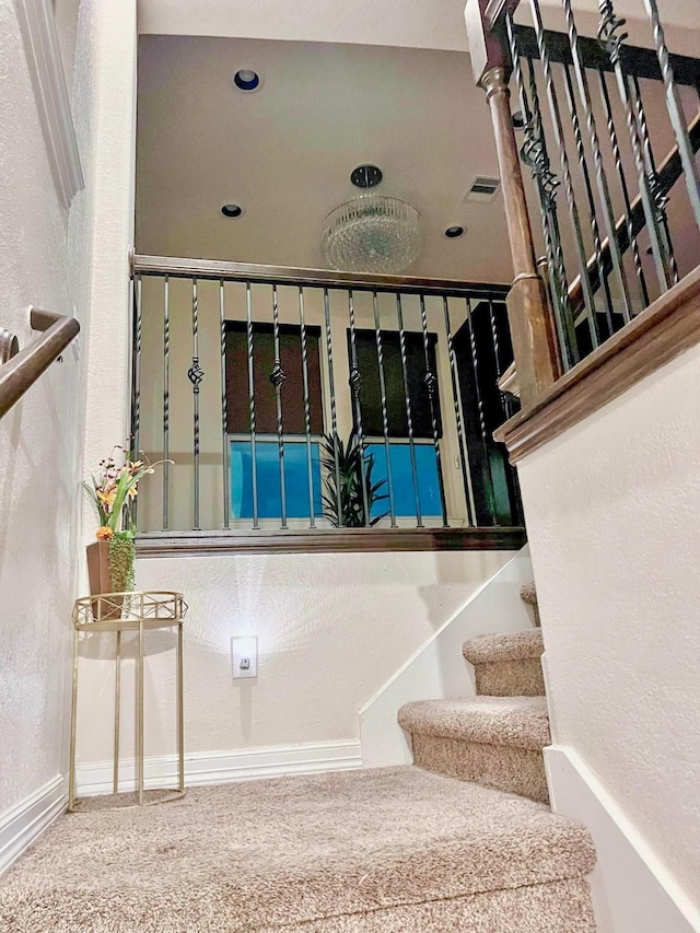 staircase featuring carpet floors