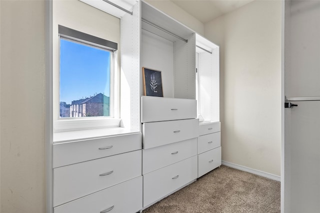 spacious closet featuring light carpet