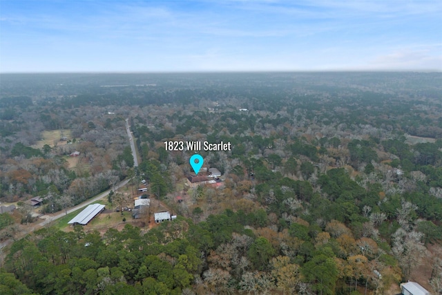 bird's eye view with a view of trees