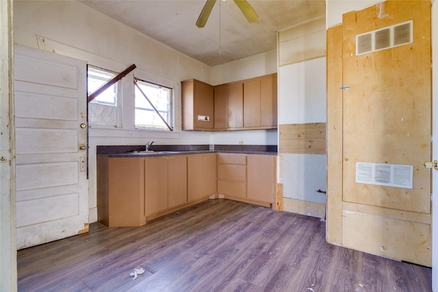 kitchen featuring ceiling fan, dark hardwood / wood-style flooring, light brown cabinetry, and sink