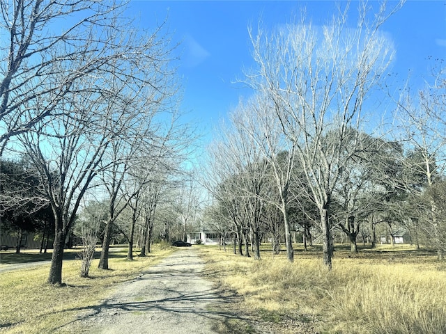 view of road