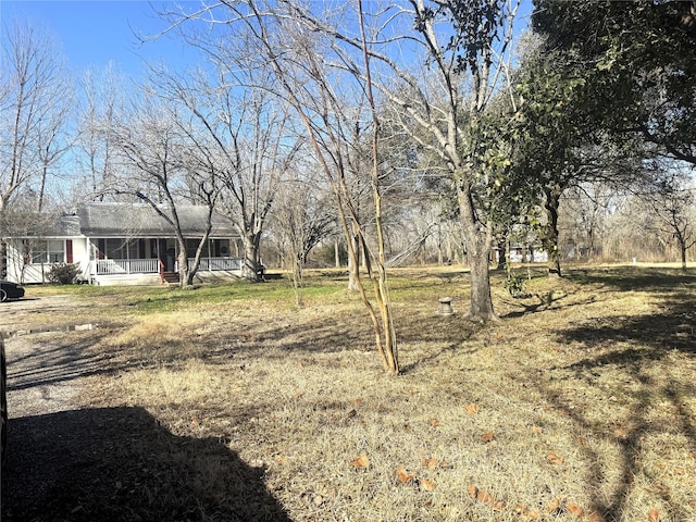 view of yard featuring covered porch