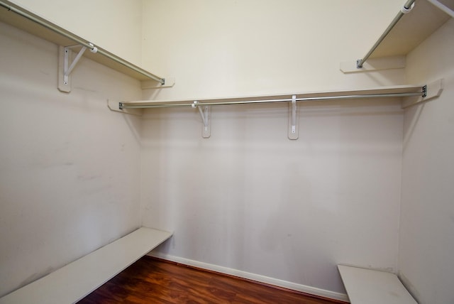 walk in closet featuring dark hardwood / wood-style floors