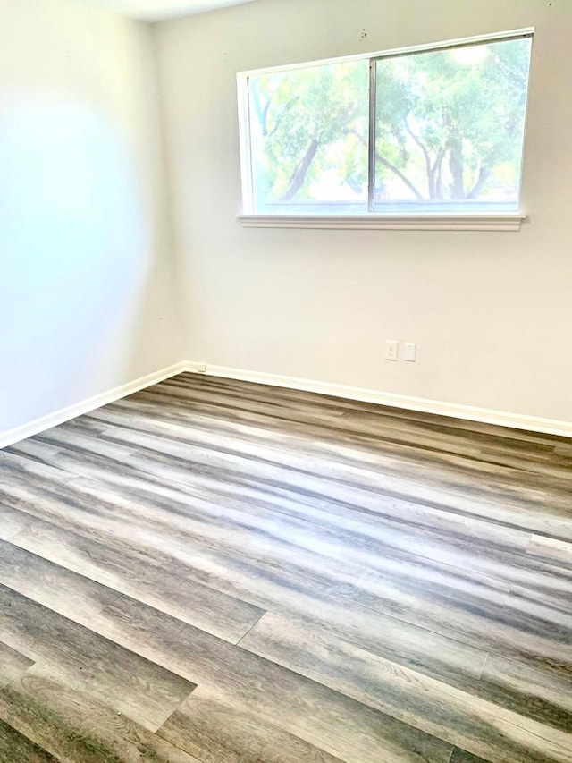 empty room featuring wood-type flooring