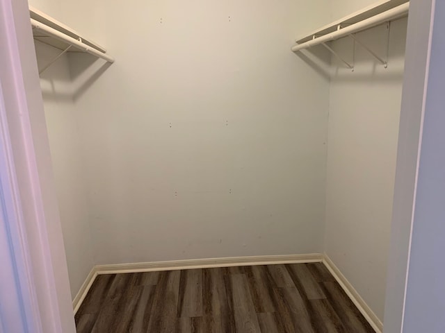 walk in closet with dark hardwood / wood-style flooring