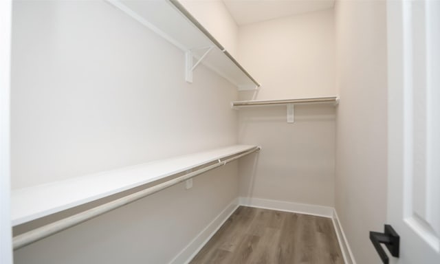 spacious closet featuring light hardwood / wood-style flooring