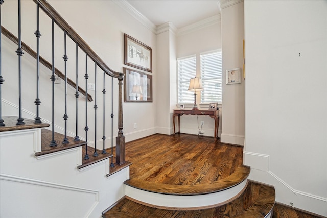 stairway with ornamental molding and wood-type flooring