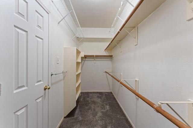 spacious closet with dark carpet