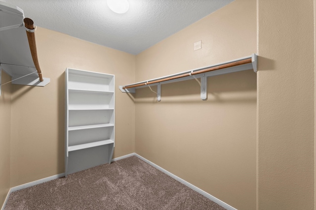 spacious closet featuring carpet floors