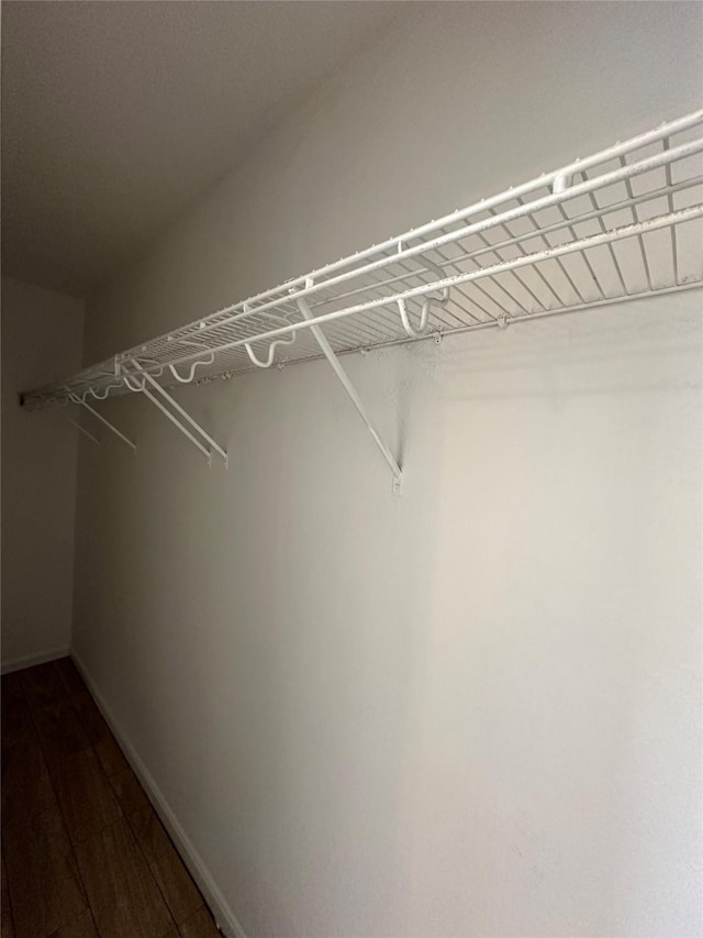 spacious closet featuring dark hardwood / wood-style flooring