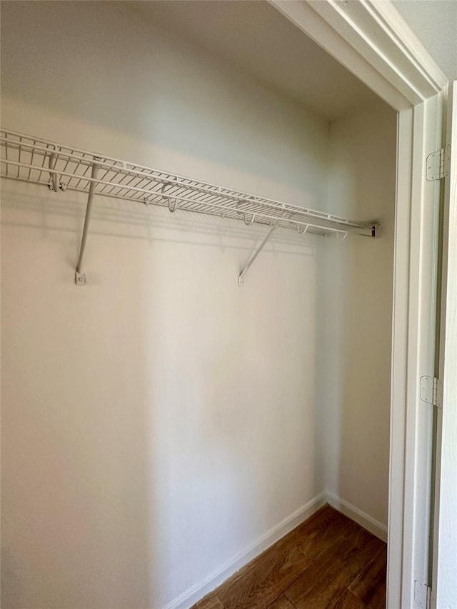 spacious closet with dark wood-type flooring