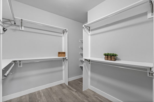 spacious closet featuring hardwood / wood-style floors