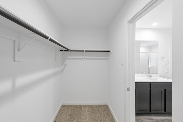 spacious closet featuring light colored carpet and sink