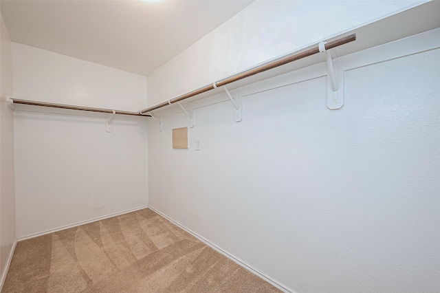 spacious closet featuring light carpet