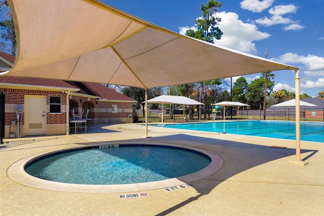 view of pool with a patio