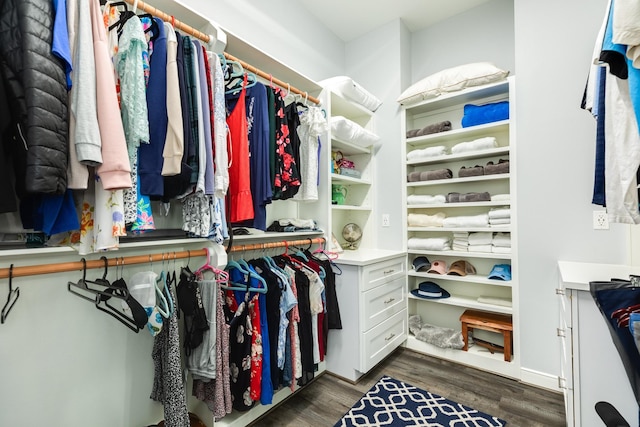 spacious closet featuring dark wood-type flooring