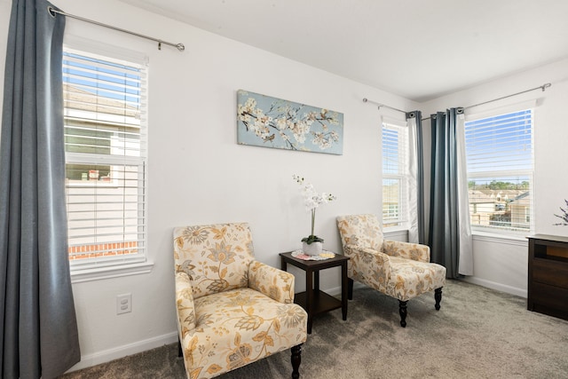 sitting room featuring carpet floors