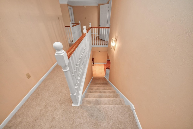 stairs featuring carpet flooring