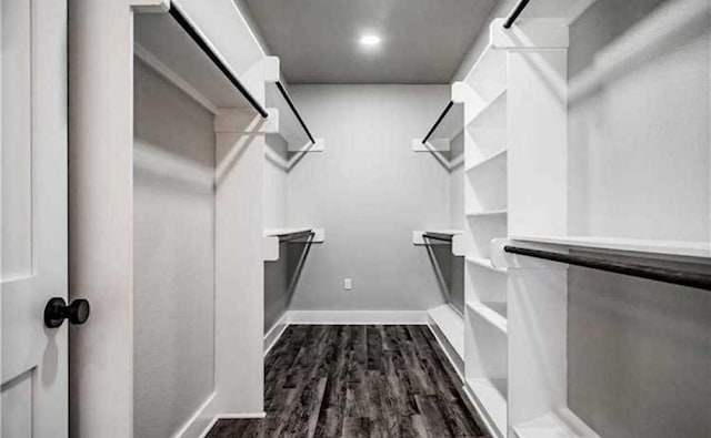 spacious closet featuring dark hardwood / wood-style floors