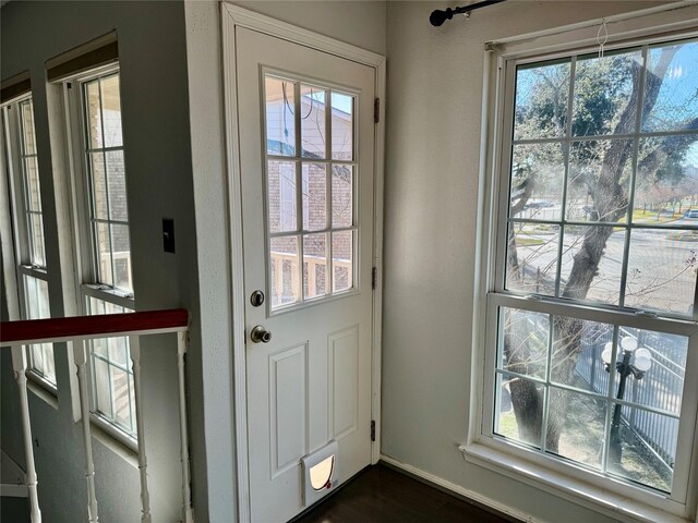 doorway featuring dark wood-type flooring and a wealth of natural light